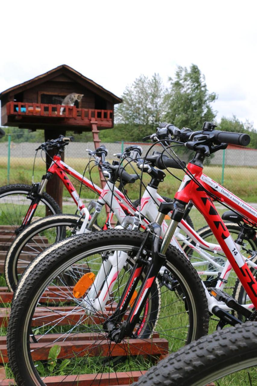 Lechów Siedlisko Carownica Family & Wellness 빌라 외부 사진